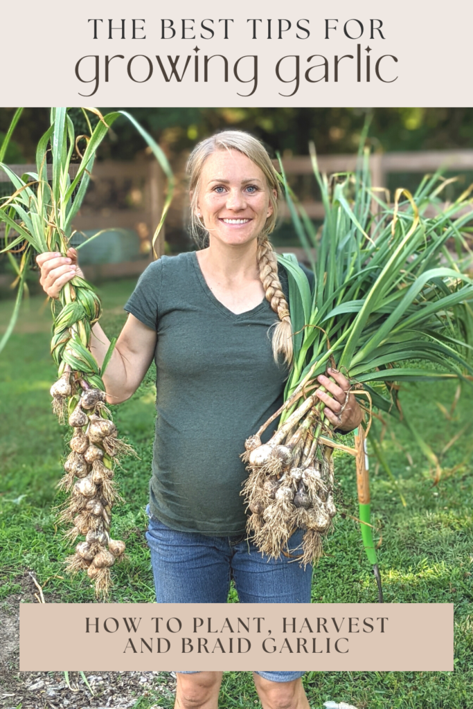 woman wearing a green shirt holding braided soft neck garlic and a stack of hardneck garlick