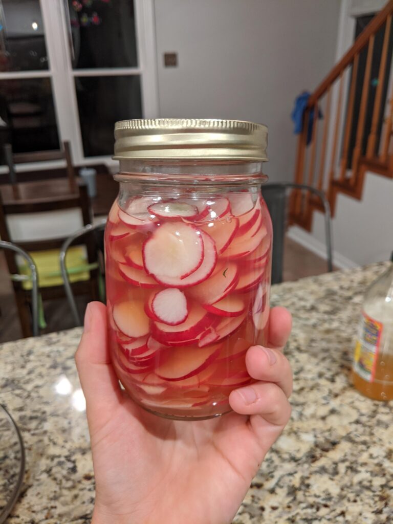 woman's hand holding a jar of fermented radishes over her granite counter top.