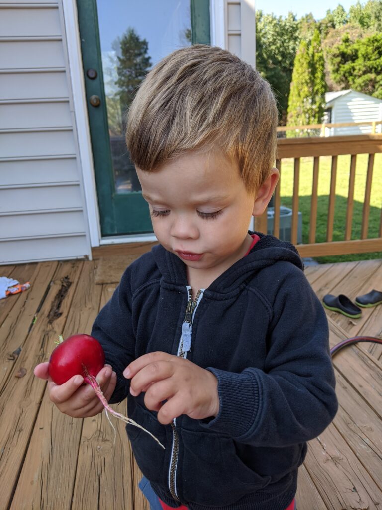 Young boy wearing a black sweatshirt and is holding a large red radish.