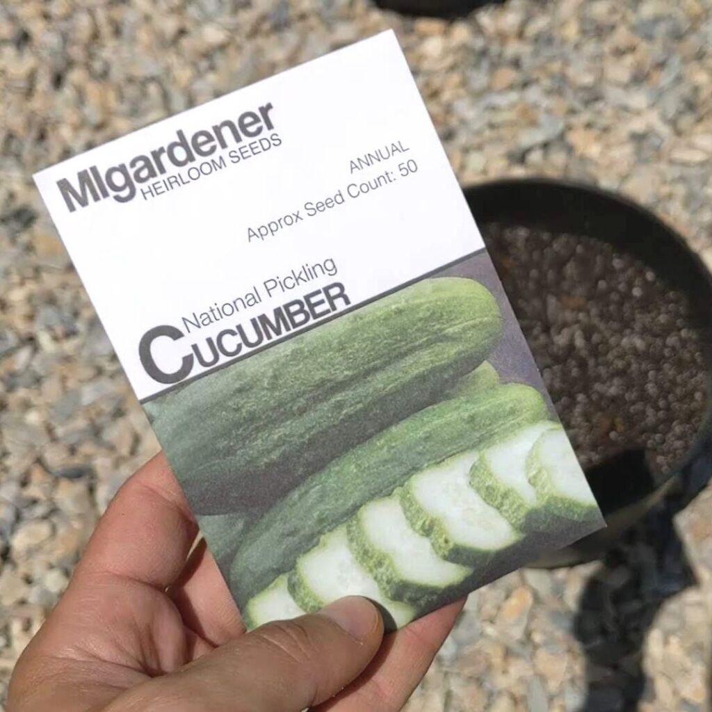packet of cucumber seeds that will be planted in a pot.
