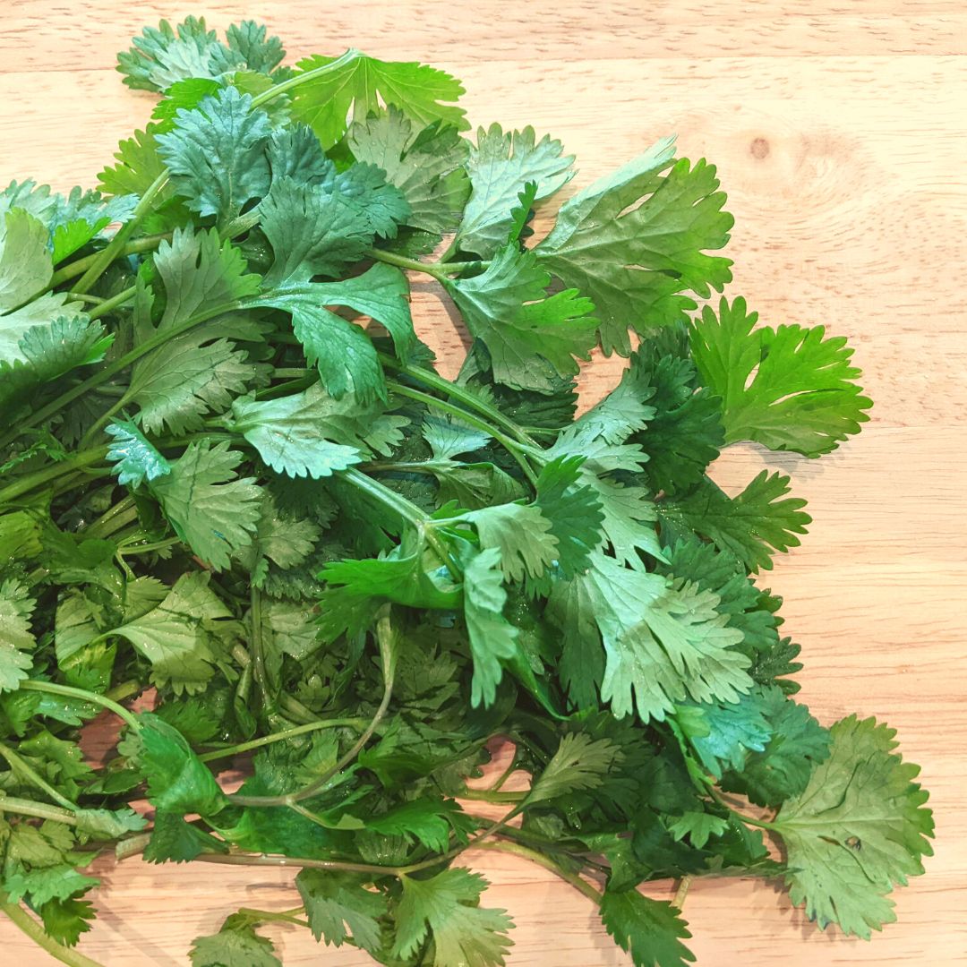 How to Dry or Dehydrate Cilantro