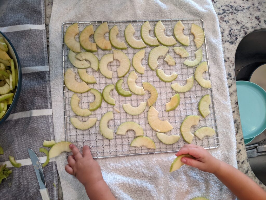 apple slices on a wire rack on a kitchen towel. 