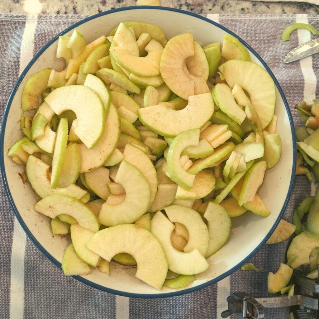 cinnamon apple slices in a blue and white bowl.