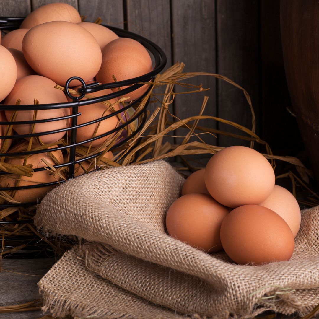 The Best Chicken Breeds that Lay Brown Eggs
