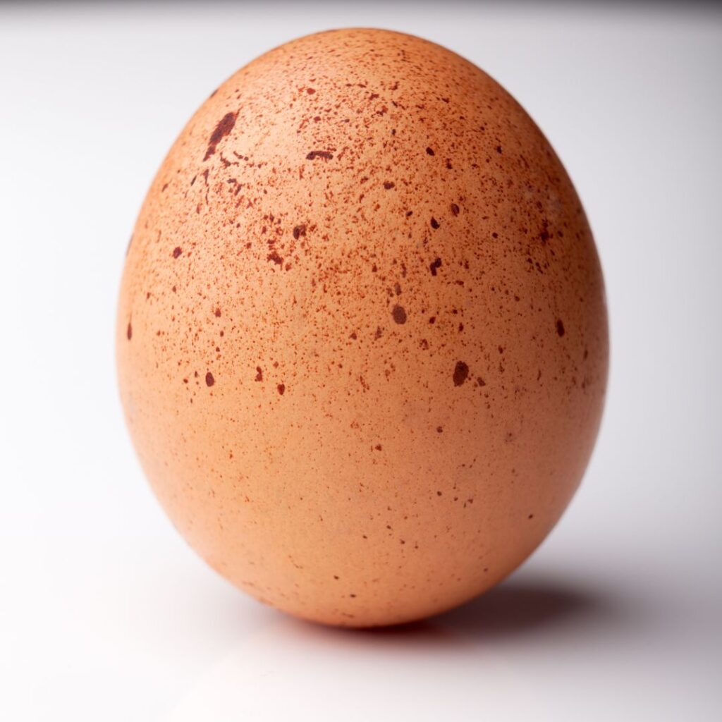 speckled brown egg