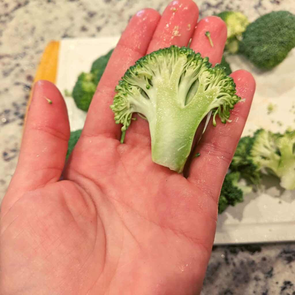 womans hand holding a washed and sliced piece of broccoli floret in preparation for dehydration