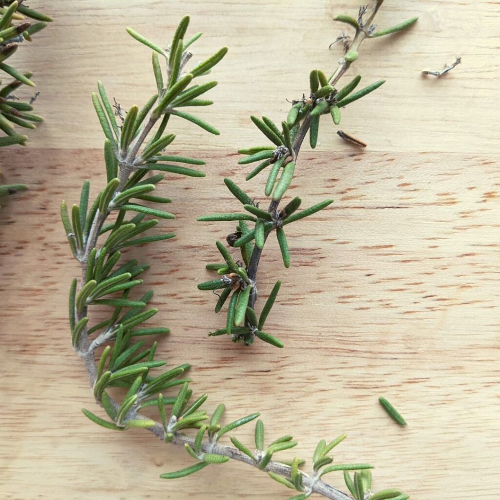 rosemary sprigs on a wooden cutting board