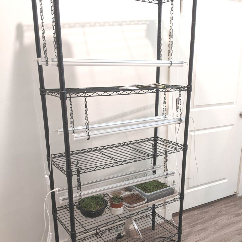 seed starting station with metal shelves and chains holding led shop lights or led grow lights