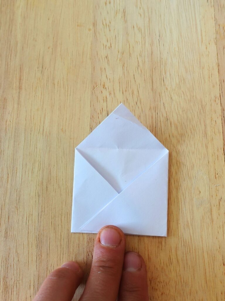folded paper seed packet
